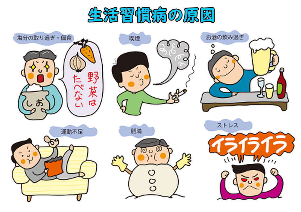 未病・生活習慣病・霊芝・黒高麗人蔘・漢方薬はキトキト本舗